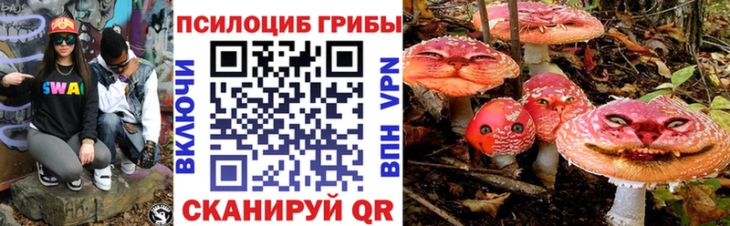 Псилоцибиновые грибы MAGIC MUSHROOMS  хочу   KRAKEN маркетплейс  Пыть-Ях 